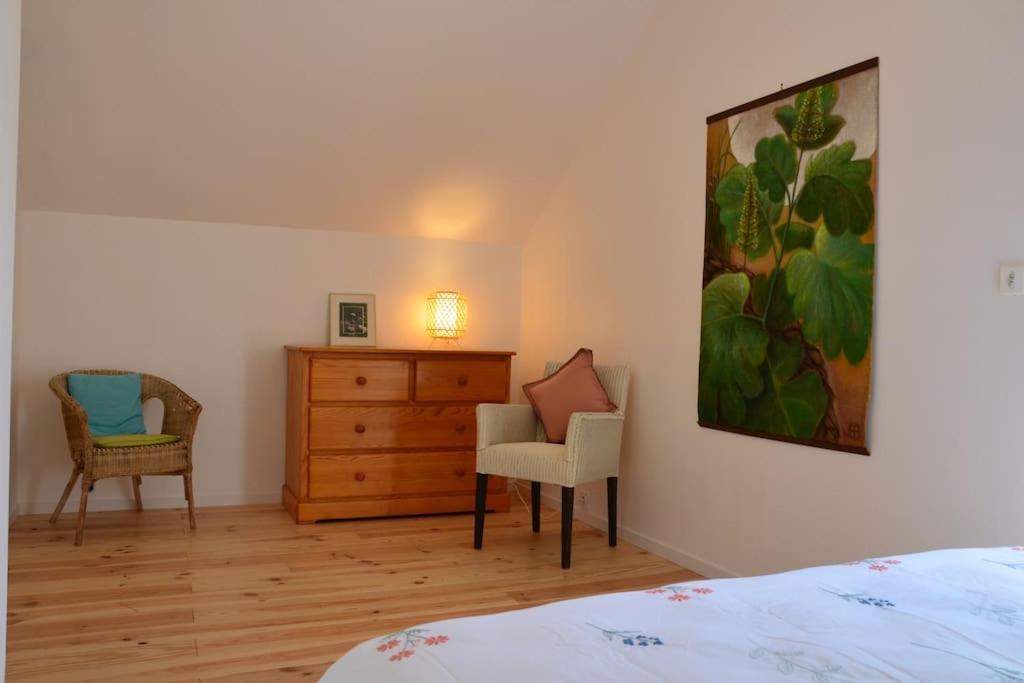Saint-Denis-en-Val La Maison Des Cordelles מראה חיצוני תמונה